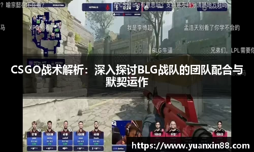 CSGO战术解析：深入探讨BLG战队的团队配合与默契运作