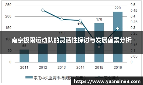 南京极限运动队的灵活性探讨与发展前景分析