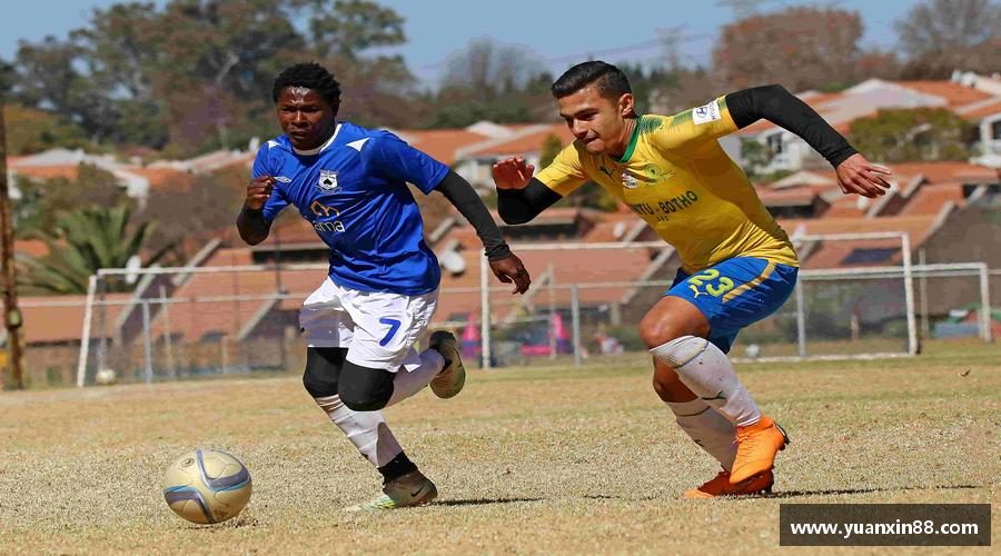 壹号平台拥抱挑战，成就辉煌！